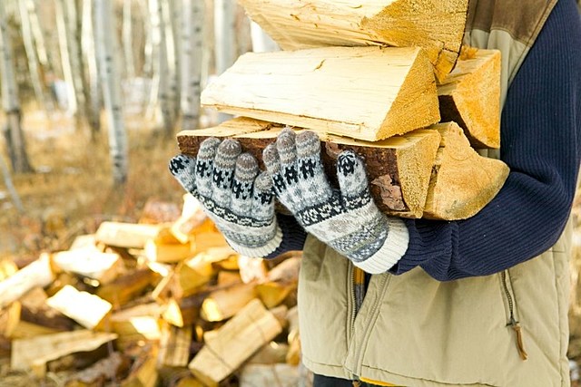 Planning on Stocking up on Firewood? Know These New York Regulations
