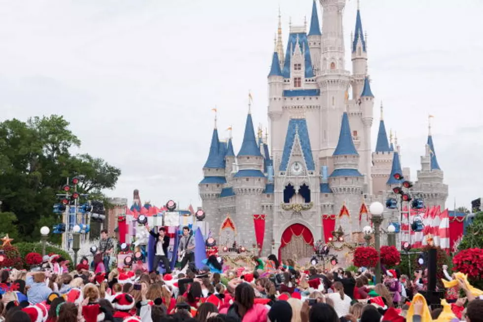 I’m Going To Disney World for The First Time And I Need Your Help