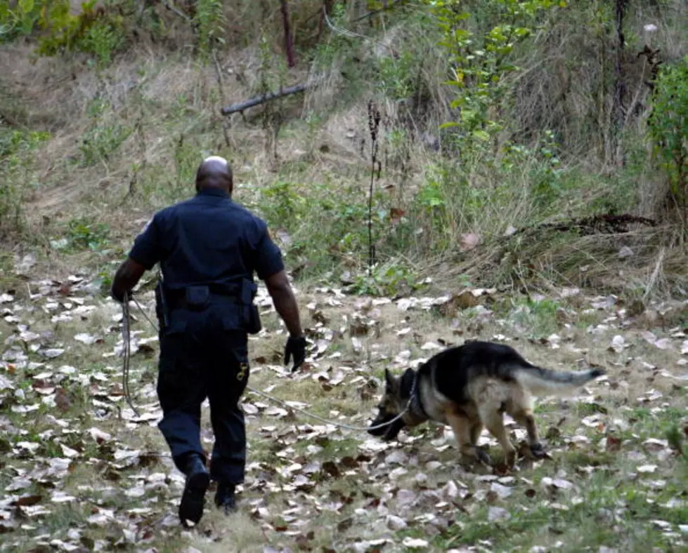 Burglary Suspect Found By Troy Police K-9
