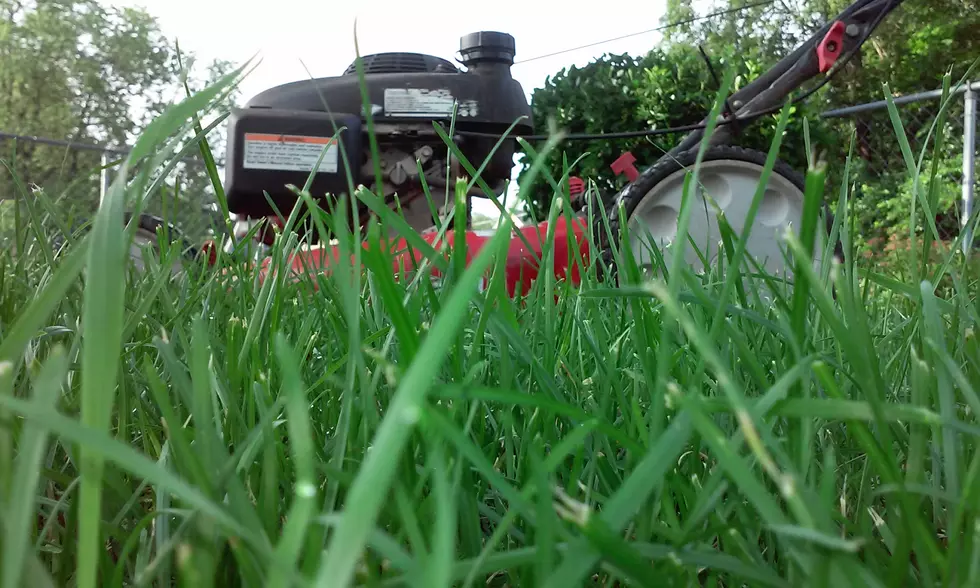 Lawn Mower (Bro.Lou Roberts Collection)