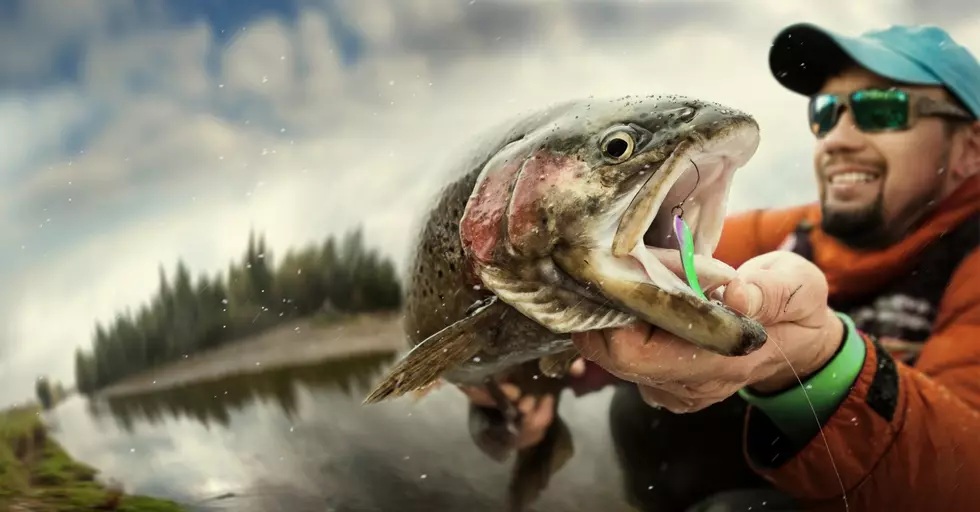 Cast Away: Get Ready For Upstate NY Trout Fishing Year-Round