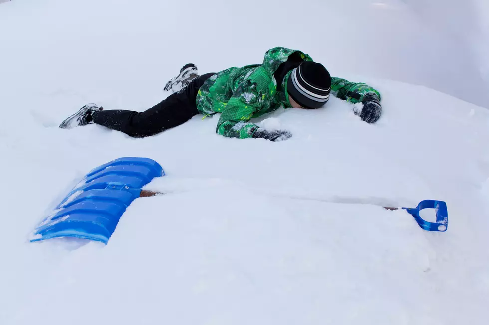 Albany Winter Outlook Includes “Cold Hard Flakes” & “Winter Whopper”