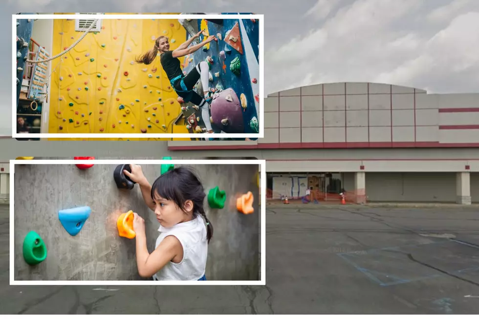Another Tenant Climbing Into The Old Latham Kmart