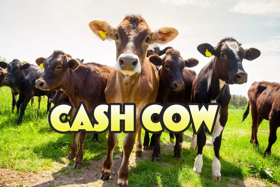 GNA’s $30k Cash Cow! Here’s How You Can Win Up To $30,000