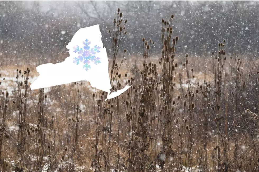 Snowflakes Forecast For Parts Of Upstate New York Next Week