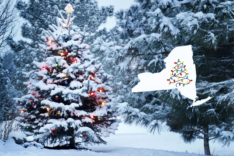 Christmas Eve Snow On the Way To Upstate New York: How Much Will We Get?