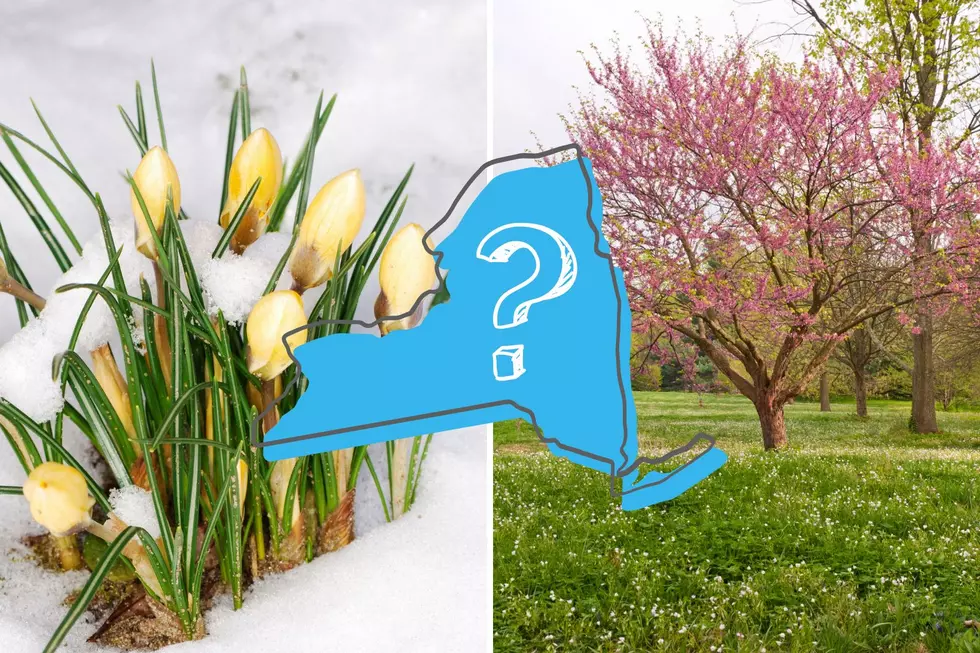 Almanac Spring Forecast: What To Expect In New York