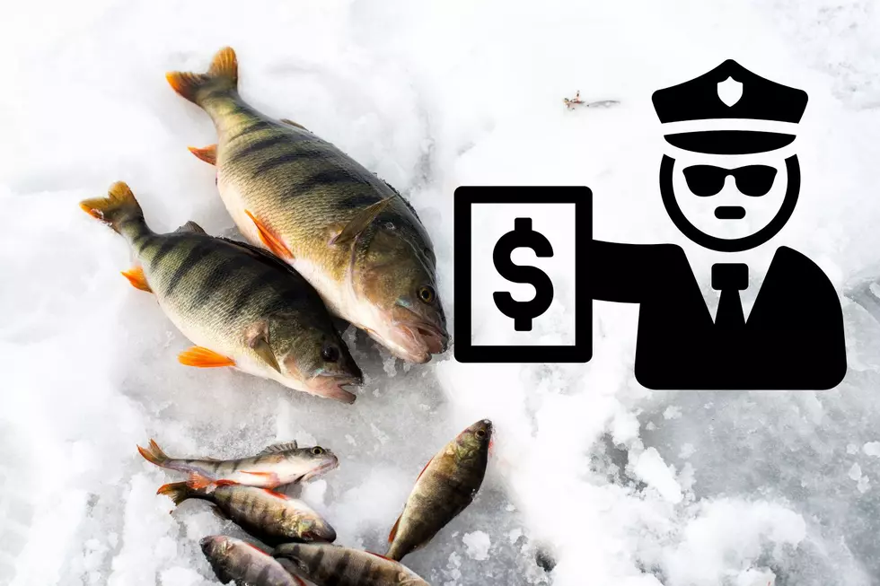 Ice Fishermen on Lake George Caught Way Over Limit & Fined