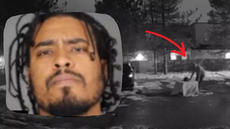 Despicable Man Sets Fire To Puppy In Upstate New York