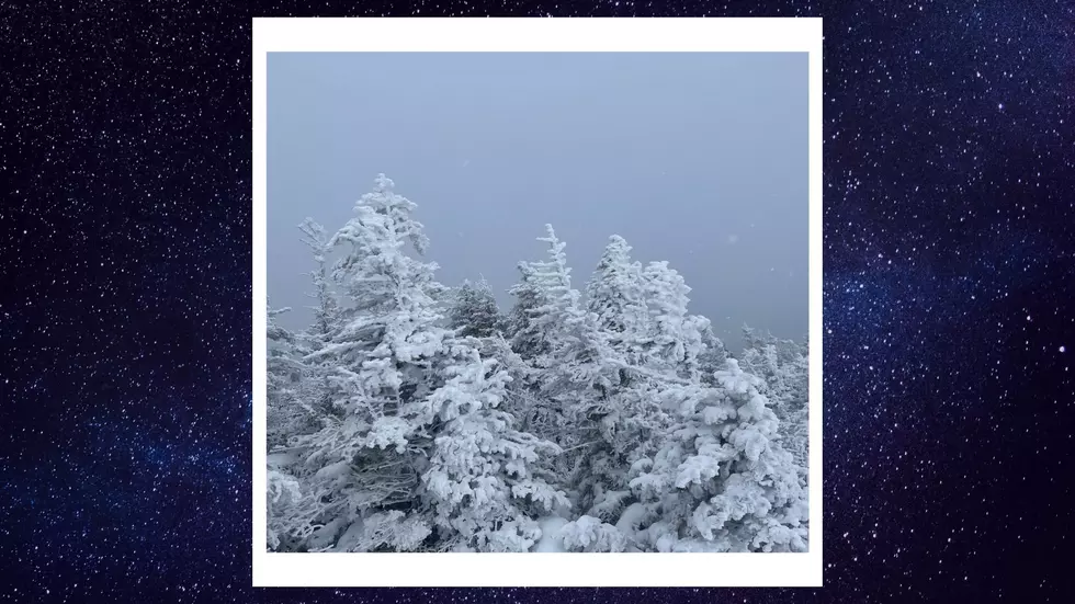 Will Summer Ever Arrive? Viral Photo Shows Blankets of Adirondack Snow