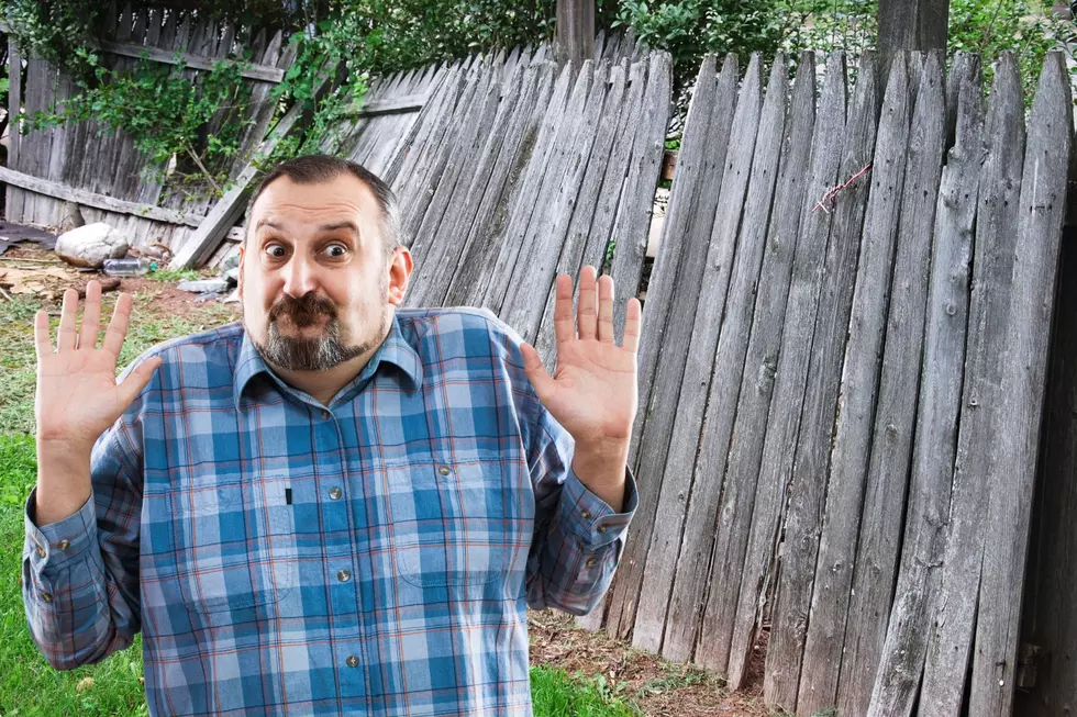 New York State Neighbors-Who Owns The Fence?