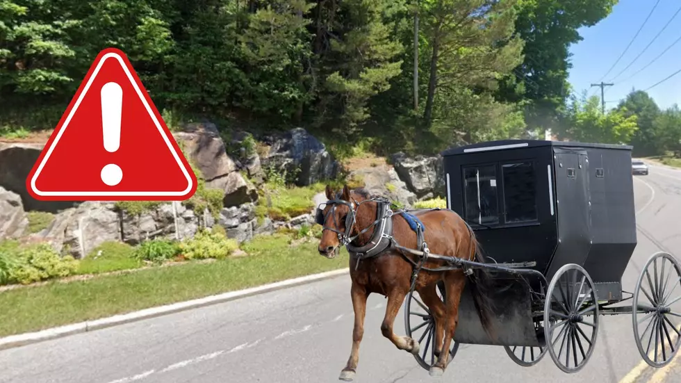3 Injured when Car Hits Horse-Drawn Buggy in Upstate New York