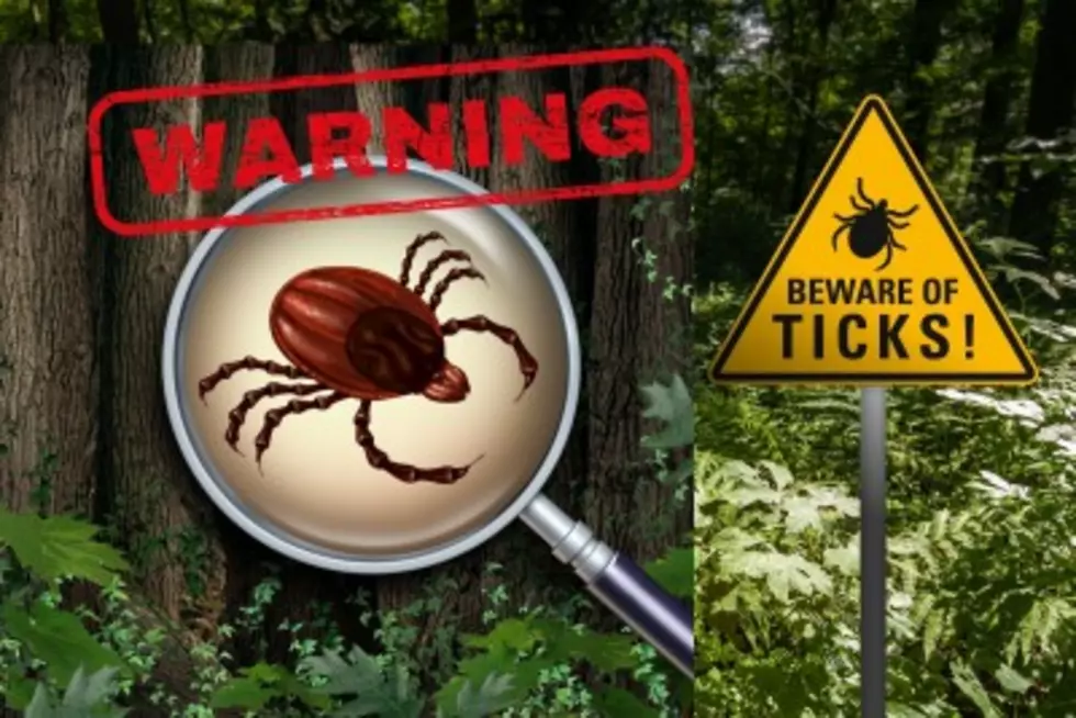 Staying Safe from Ticks in New York: Simple Steps for Prevention