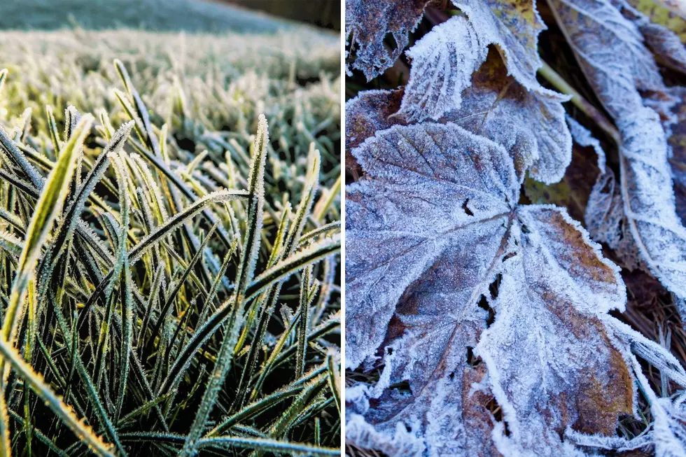 Old Farmer’s Almanac Predicts First Frost For Capital Region