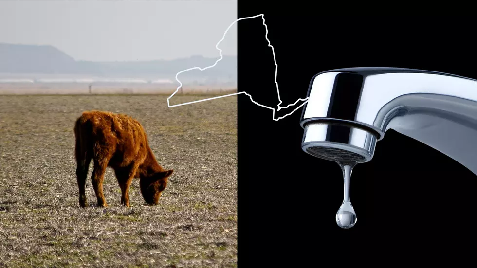 Capital Region Counties Added to New York’s Expanding Drought Watch