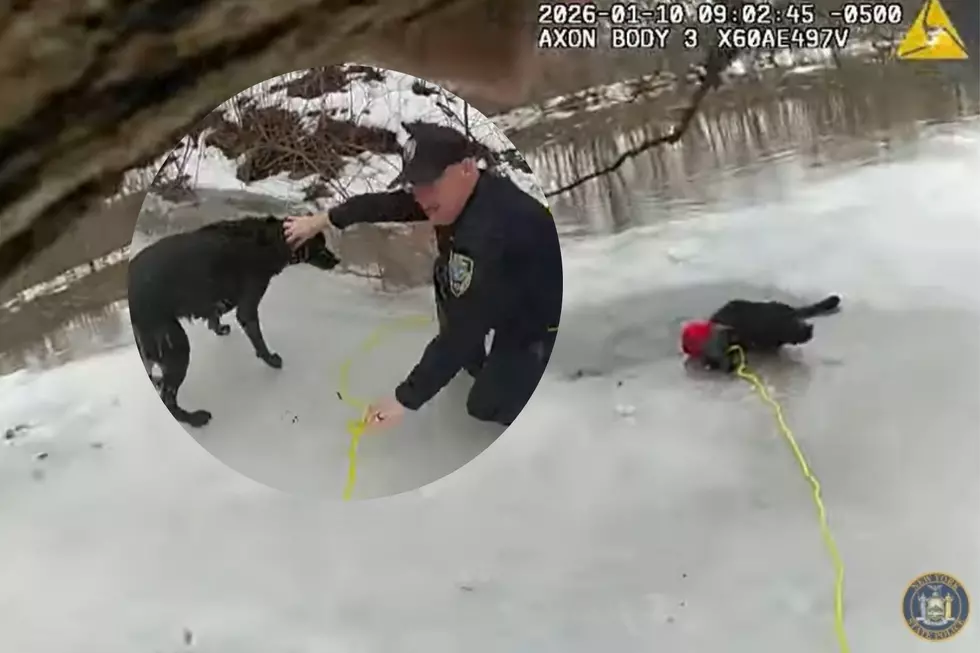 WATCH-Heroic New York State Trooper Rescues Dog From Icy Waters