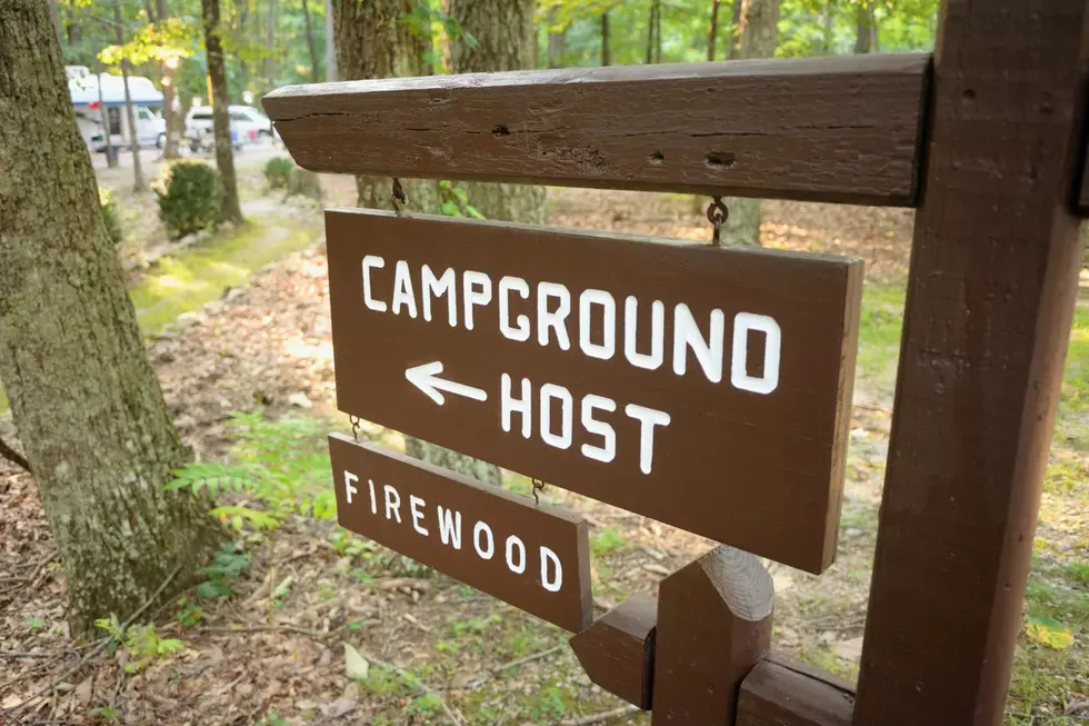 Become New York Campsite Ambassador in Adirondacks or Catskills-Here’s How