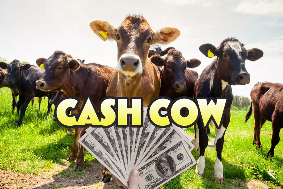 Here’s How You Can Win Cash This Spring With GNA’s Cash Cow!