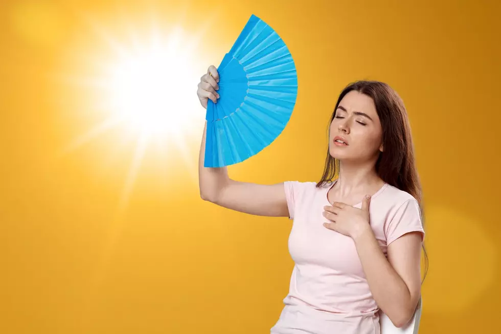 Get Ready To Sweat: Upstate NY Summer Weather Outlook Is Here