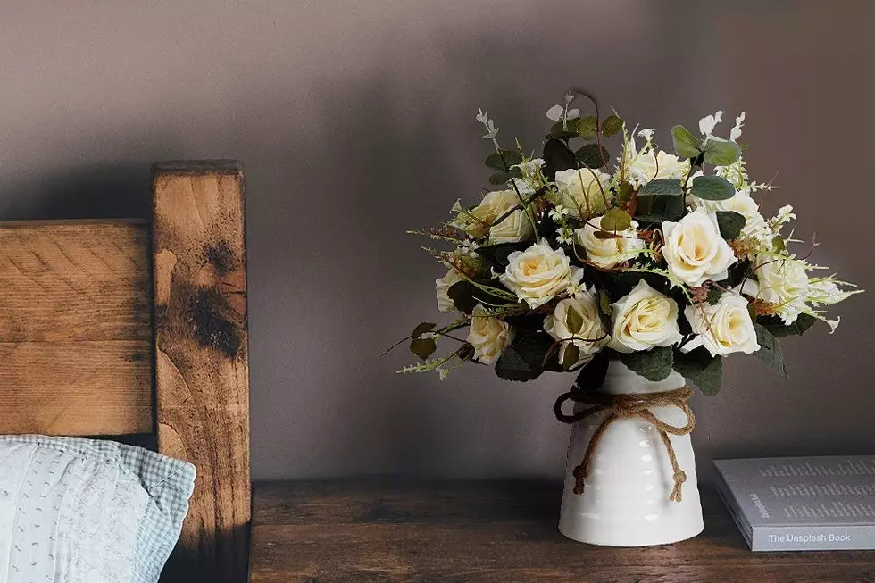 Get Your Space Stylin’ With These Plants For Spring