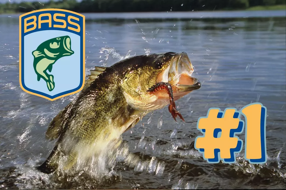 Bassmaster’s Best Bass Lake of 2022 Is In Upstate New York’s Backyard